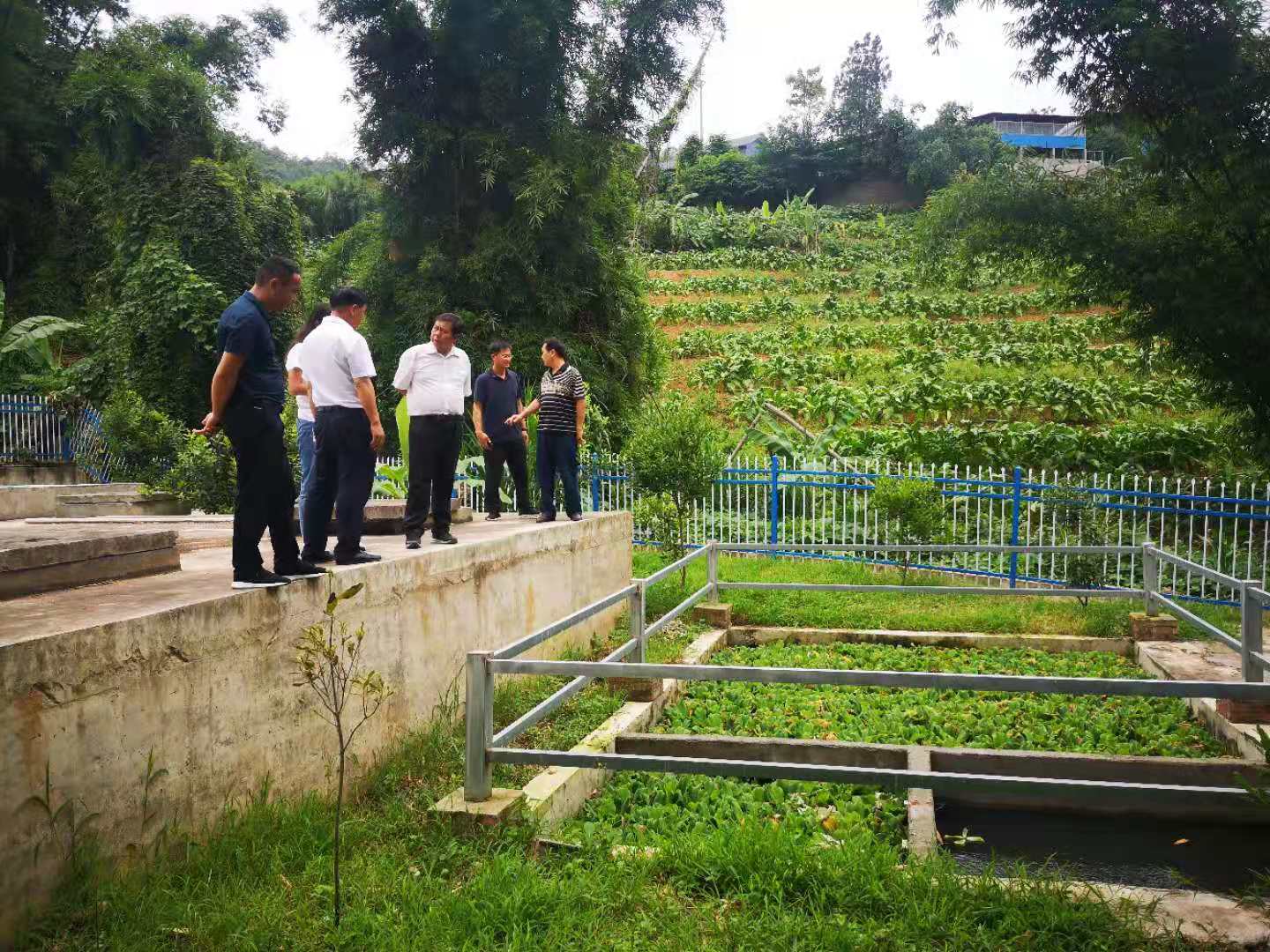 農(nóng)村生活污水設備